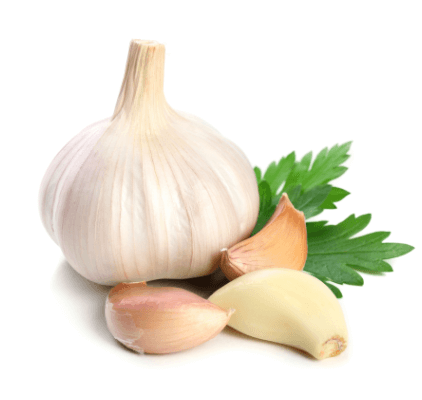 A garlic bulb.