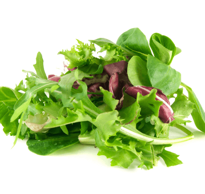 Green leaves salad