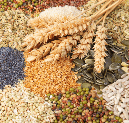 Grains and seeds.