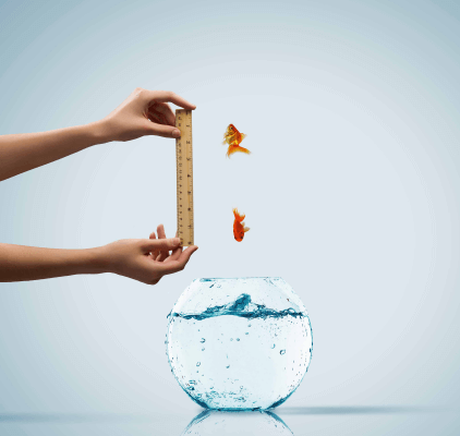 Someone measures how high two goldfish jump out of the water. A pointless activity, just like measuring the BMI.